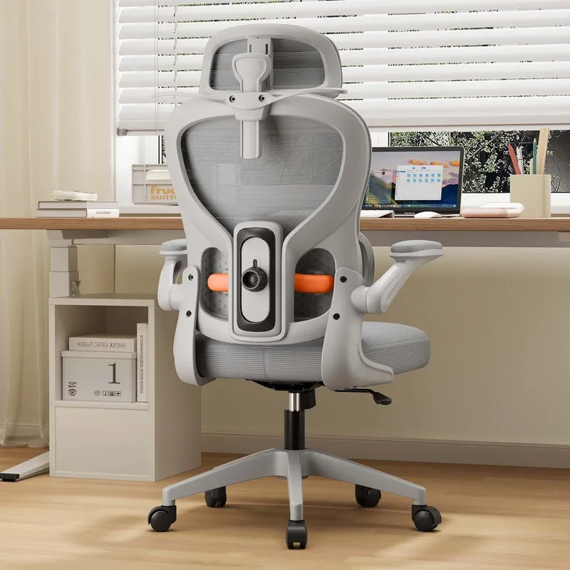 Ergonomic Computer Chair Home  - Esports & Gaming Optics Gmbh review and price