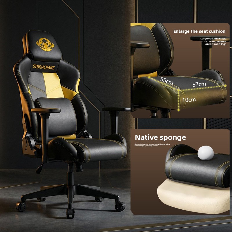 Ergonomic Gaming Chair Long Se - Esports And Gaming Lounge review and price